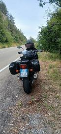 borse moto