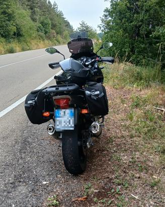 borse moto