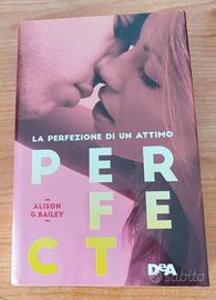 Perfect - La perfezione di un attimo