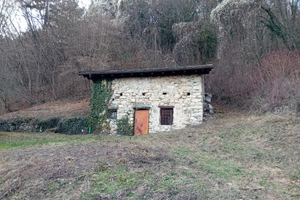 Rustico terreno e prato