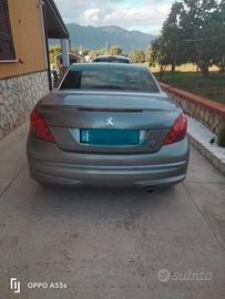 Peugeot 207 cc Roland Garros félins