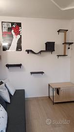 Percorso a muro per gatti