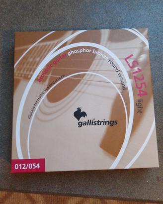 Corde chitarra acustica