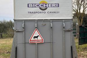 Trailer Cavalli Biccheri