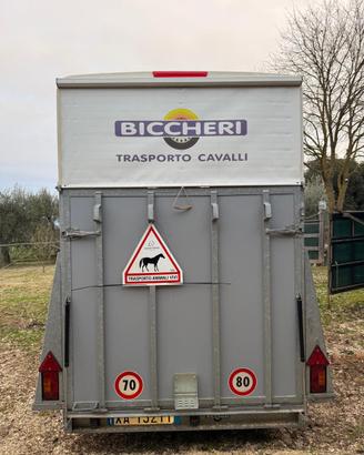 Trailer Cavalli Biccheri