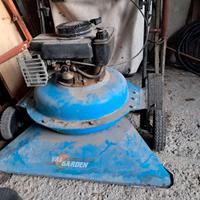 Aspirafoglie a benzina