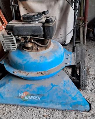 Aspirafoglie a benzina