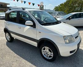 FIAT Panda 1.3 MJT 16V DPF 4x4 Climbing