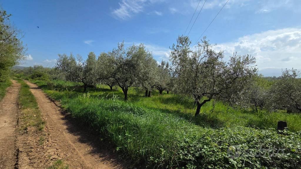 Terreno di 3300 m² a Piglio - Vista 3
