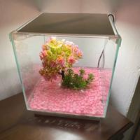 acquario 20 litri