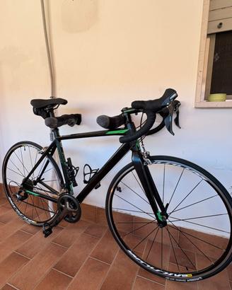 Bici da corsa