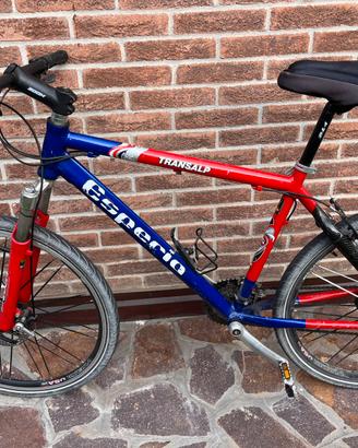 Bici citybike uomo