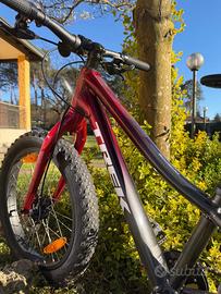 Trek Roscoe mountain bike 20” pollici bambino