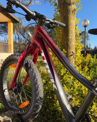 Trek Roscoe mountain bike 20” pollici bambino