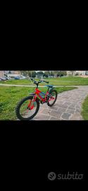 bicicletta bambino