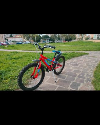 bicicletta bambino