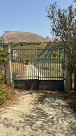 Casa in campagna con terreno