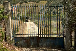 Casa in campagna con terreno