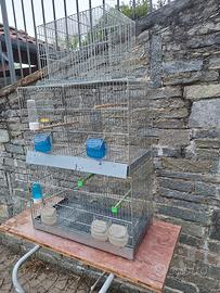 gabbie canarini cocorite o diamantini 