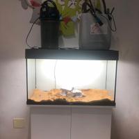 acquario di medie dimensioni