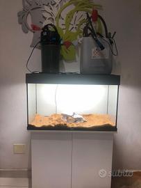 acquario di medie dimensioni