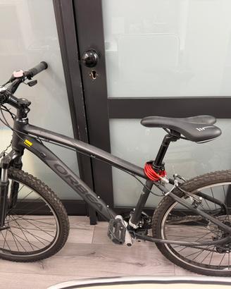 Bici mountain bike