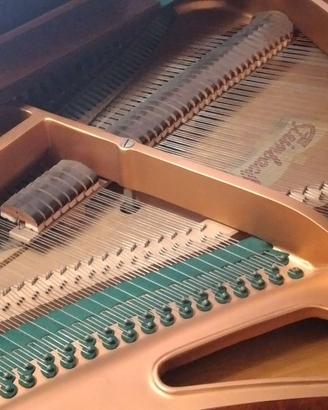 pianoforte a coda