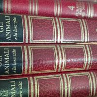 Enciclopedia