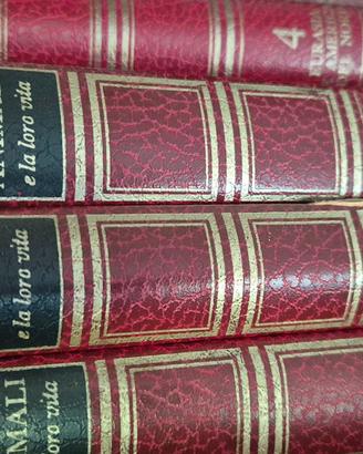 Enciclopedia