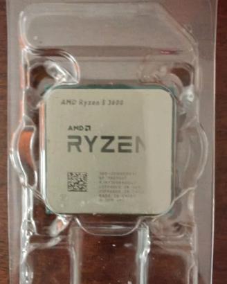 Ryzen 5 3600