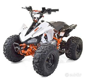 QUAD 110cc