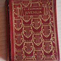 Gabriele D'Annunzio Juvenilia Vademecum  Minilibro