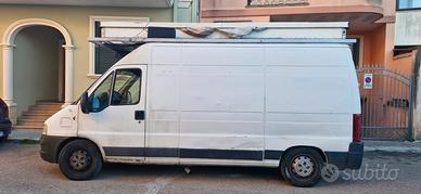 Ducato mercato 
