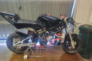 minimoto DM