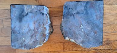 2 fermalibri di legno fossile
