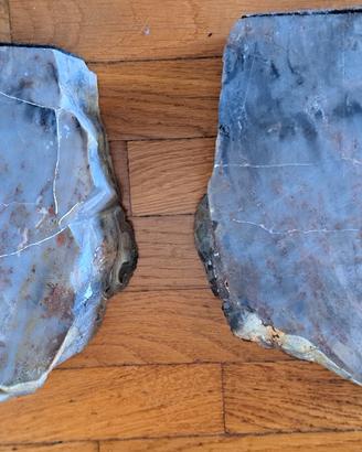2 fermalibri di legno fossile
