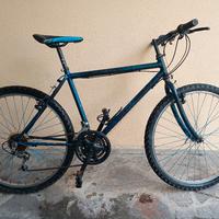 Bicicletta Mountain bike 