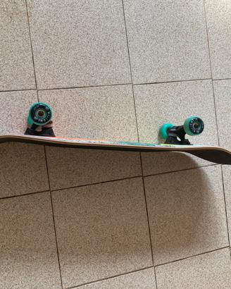 Skateboard