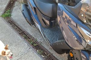 Kymco 300i