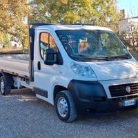 Fiat Ducato Cassone Fisso Motore 2.3 Multijet 120C