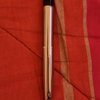 Penna stilografica 