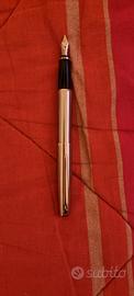 Penna stilografica 