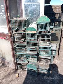 gabbie per uccelli