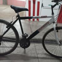 Bicicletta uomo