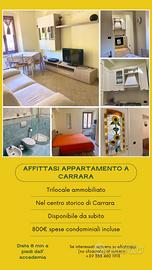Trilocale vicino accademia di carrara