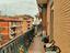 Immagine 7