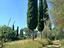 Immagine 12