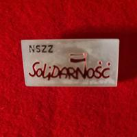 Spilla del Movimento Polacco  Solidarność