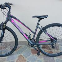 Bicicletta MTB da donna Lombardo Amantea 100