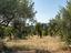 Immagine 19